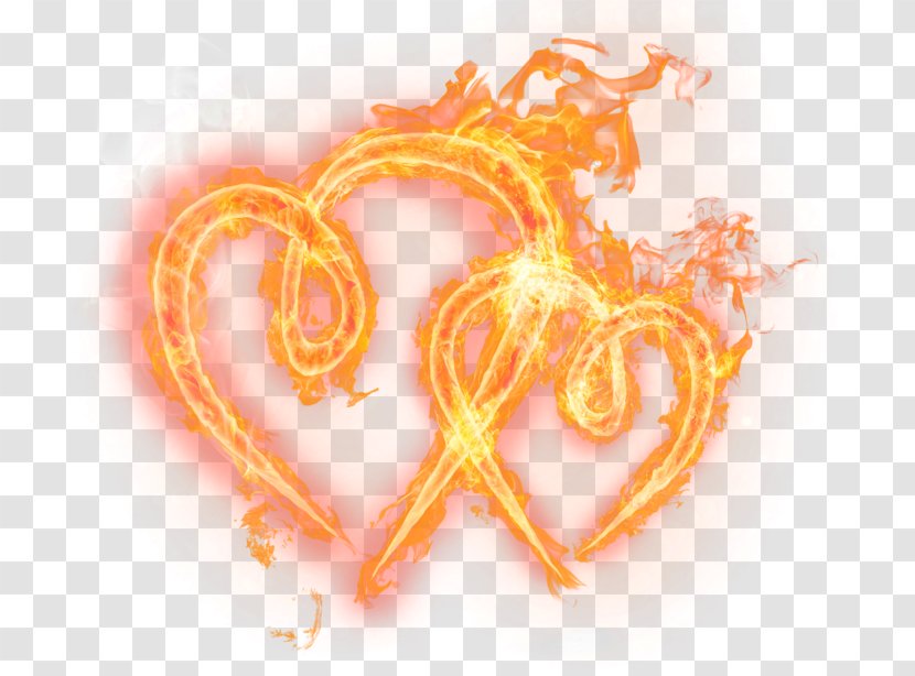 Heart Flame Data Clip Art - Lossless Compression - Fire HeaRT Transparent PNG