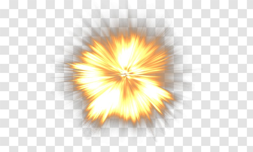 Explosion - Petal - Symmetry Transparent PNG