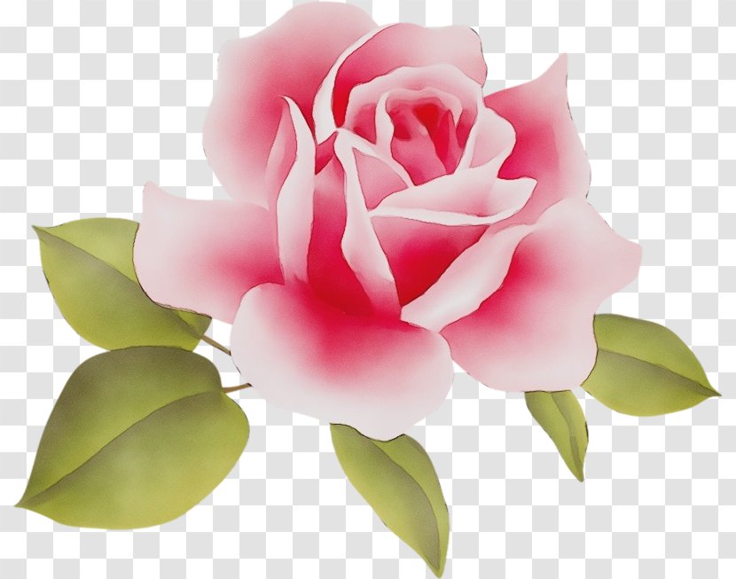 Watercolor Pink Flowers - Painting - Artificial Flower Plant Stem Transparent PNG