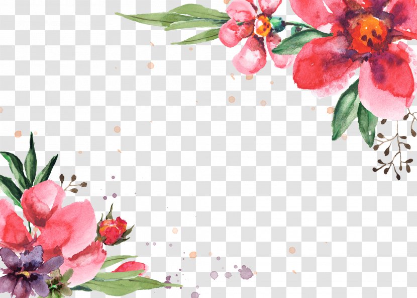 Flowers Border - Apple - Blossom Transparent PNG