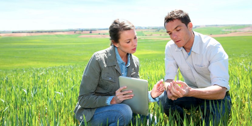 Agriculture Agronomy Agricultural Science Crop Organization - Fertilisers Transparent PNG