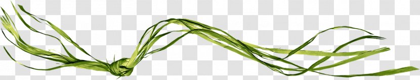 Leaf Grasses Line Angle Body Jewellery - Art Transparent PNG