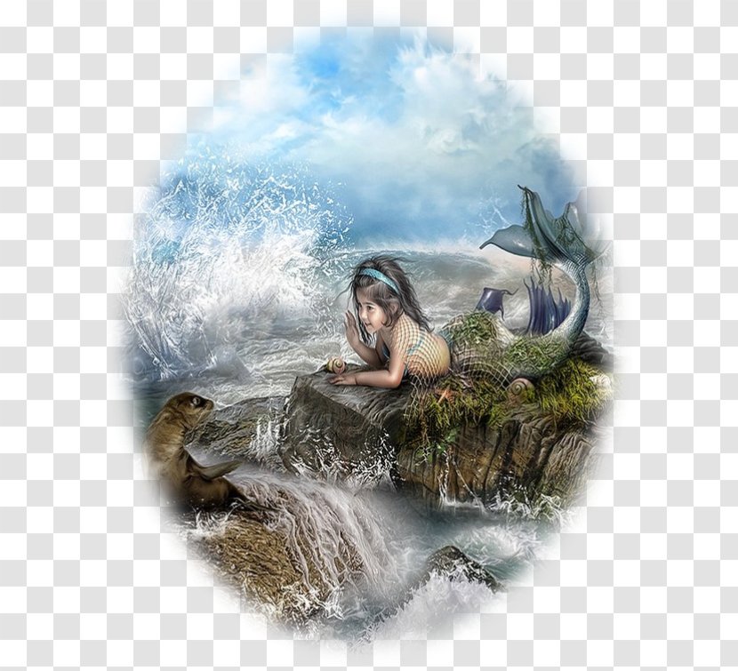 Desktop Wallpaper IPhone 6 Plus 6S Mermaid SE - Wildlife - Lamy Transparent PNG