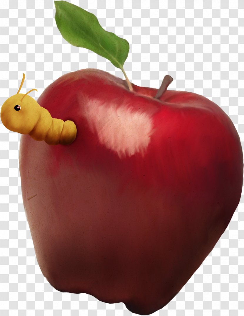 Apple Food Clip Art - Vegetable - Moth Transparent PNG