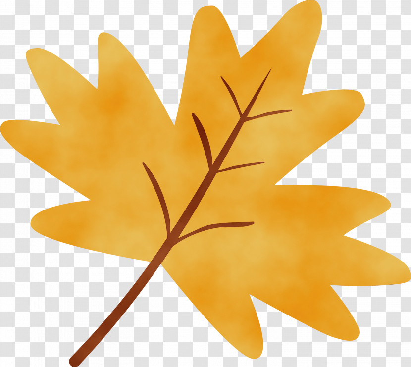 Maple Leaf Transparent PNG