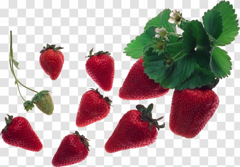 Musk Strawberry Aedmaasikas Fruit Food - Berry Transparent PNG