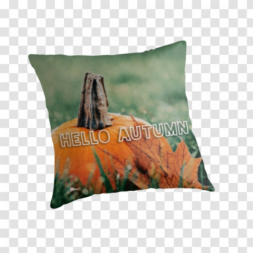 Cushion Throw Pillows Brown Pumpkin - Hello Autumn Transparent PNG