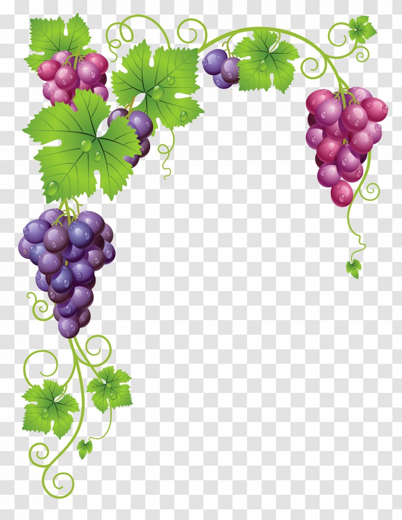 Common Grape Vine Wine Clip Art - Label - Olive Wreath Transparent PNG