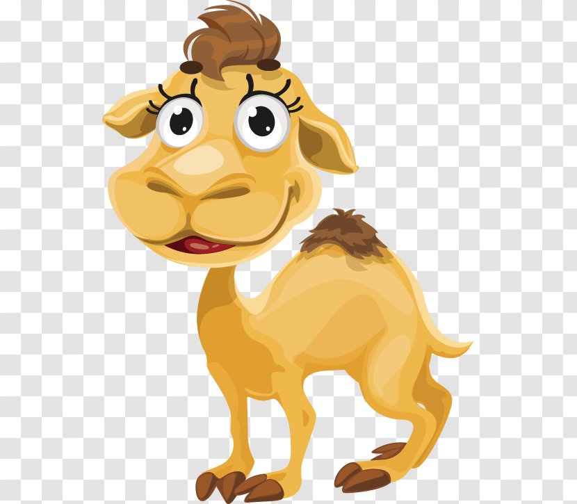 Camel Cartoon Royalty-free - Snout Transparent PNG