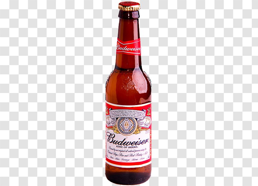 Budweiser Budvar Brewery Ginger Beer Lager Transparent PNG