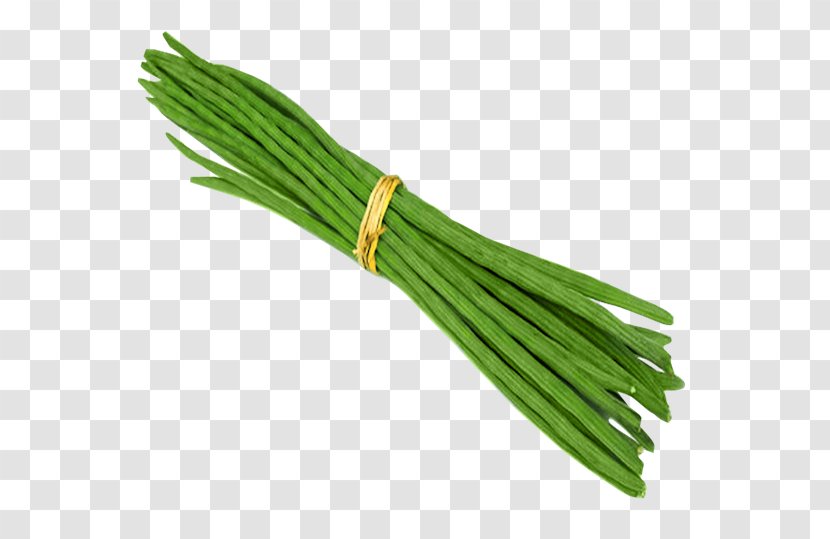 Drumstick Tree Vegetable Drum Stick Organic Food - Welsh Onion Transparent PNG