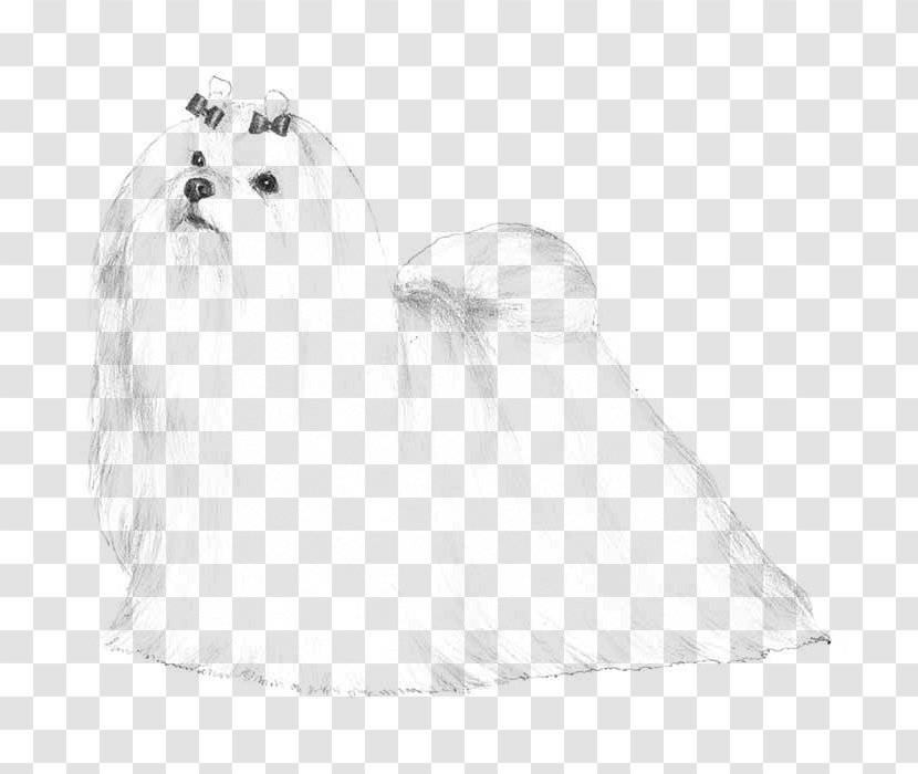 Maltese Dog West Highland White Terrier Puppy Breed Companion - Monochrome Photography Transparent PNG