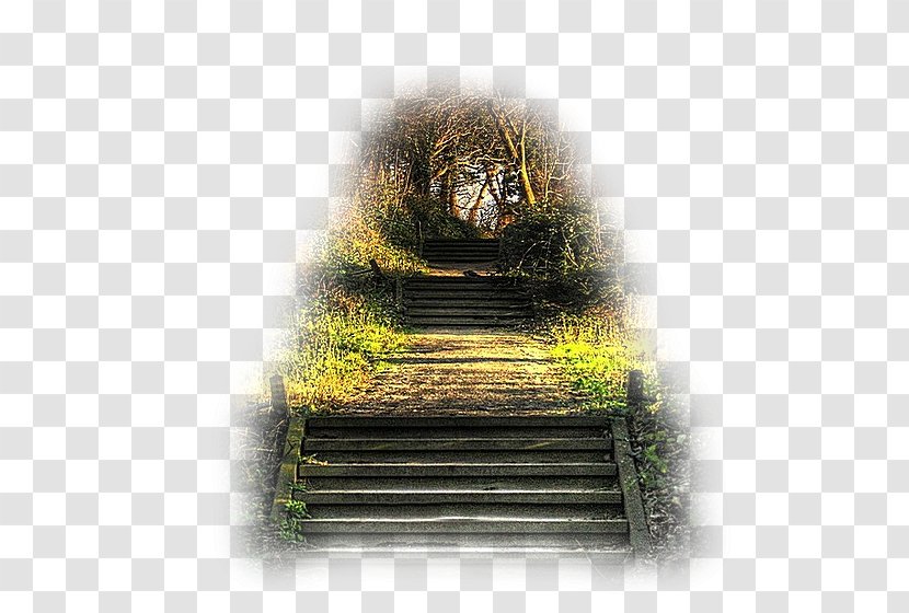 Painting Wall Stairs - Grass Transparent PNG