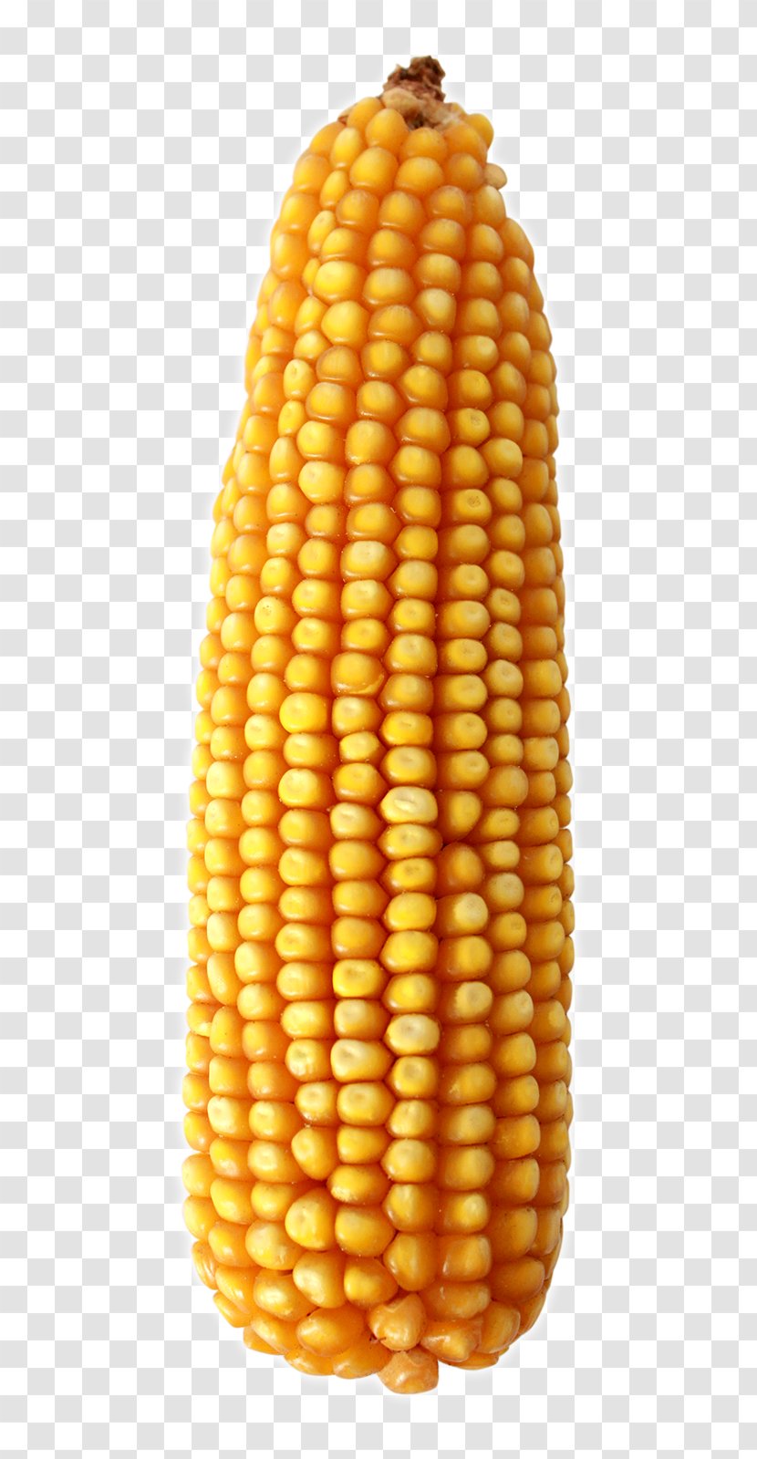 Corn On The Cob Tortilla Maize Wheat - Dietary Fiber - Fruit Transparent PNG