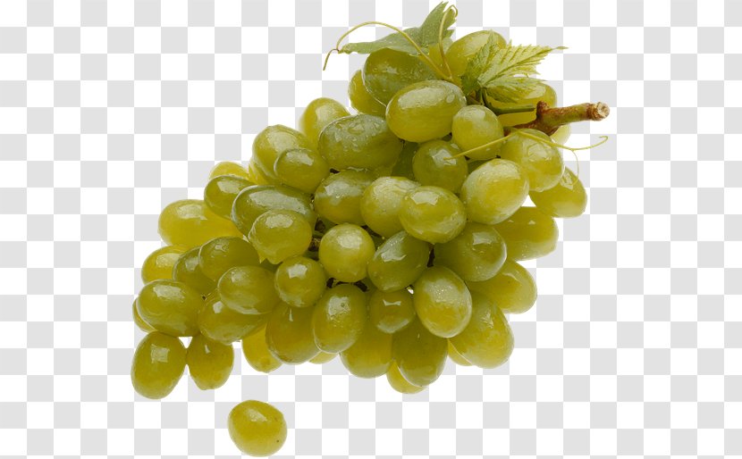 Common Grape Vine Juice Sultana Food - Grapevines Transparent PNG