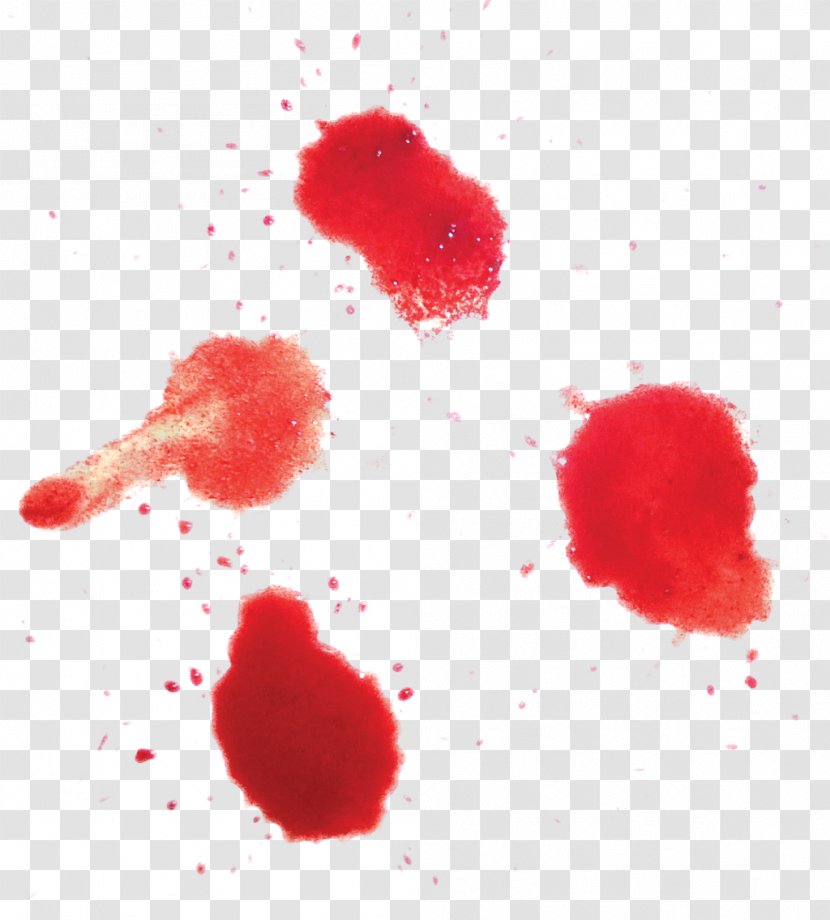 Clip Art - Blood - Bloodstain Pattern Analysis Transparent PNG