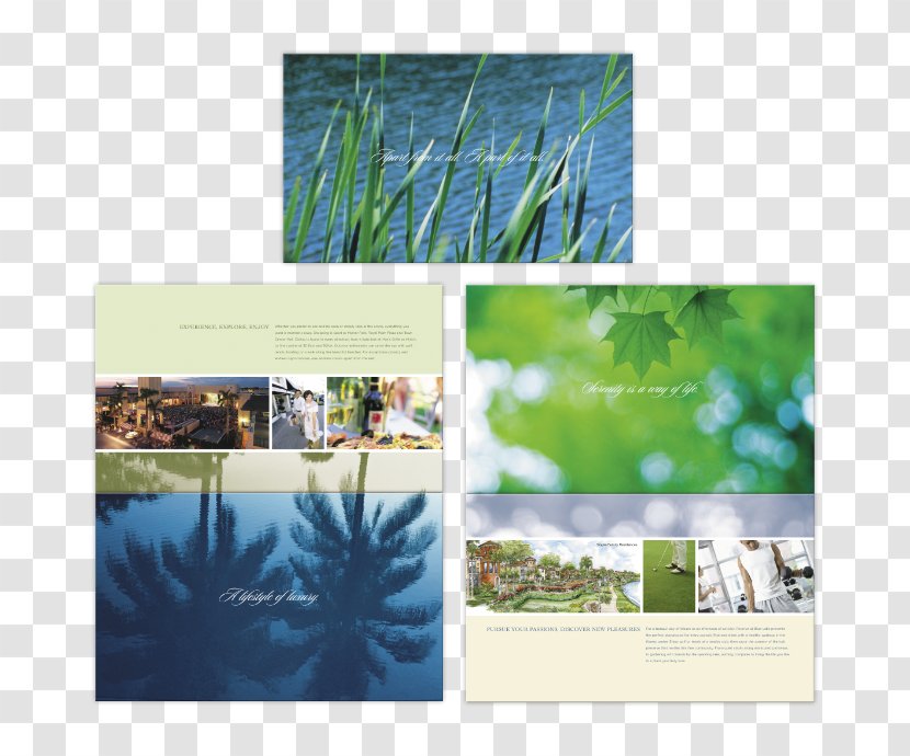 Nature Desktop Wallpaper Collage Picture Frames Ecosystem - Computer - Creative Real Estate Poster Material Transparent PNG