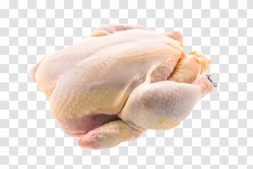 Chicken Meat Poultry Food - Thighs Transparent PNG
