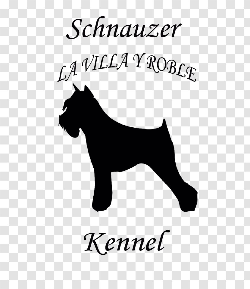 Miniature Schnauzer Dog Breed Bichon Frise Airedale Terrier - Area Transparent PNG