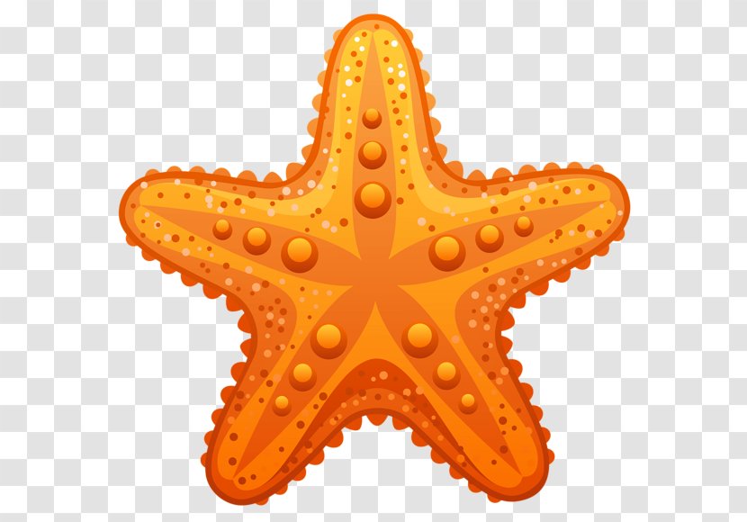 Starfish Clip Art - Royaltyfree Transparent PNG