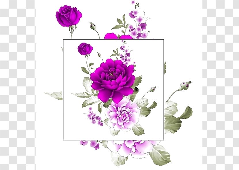 Garden Roses Floral Design Peony Watercolor Painting - Rose Transparent PNG