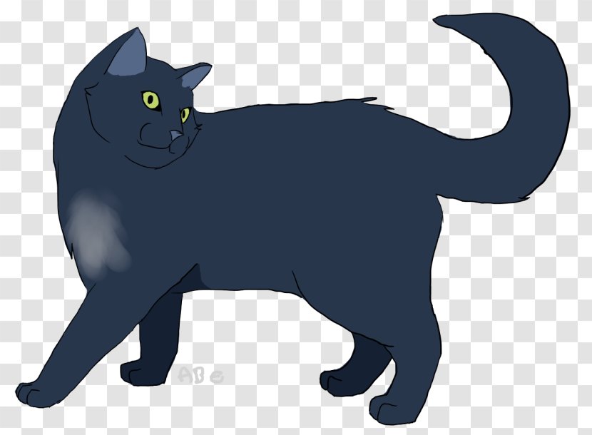 Korat Kitten Black Cat Whiskers Domestic Short-haired - Dog Transparent PNG