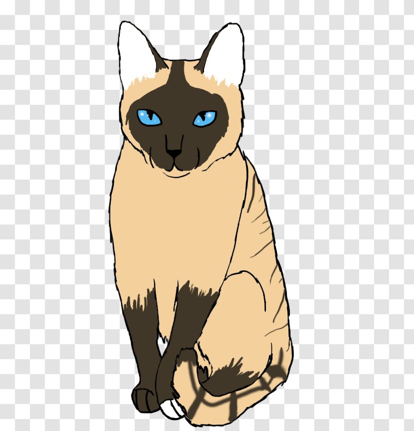 Whiskers Burmese Cat Domestic Short-haired Tabby Wildcat - Siamese Transparent PNG