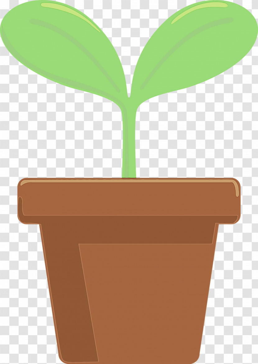Flowerpot Green Leaf Plant Houseplant Transparent PNG