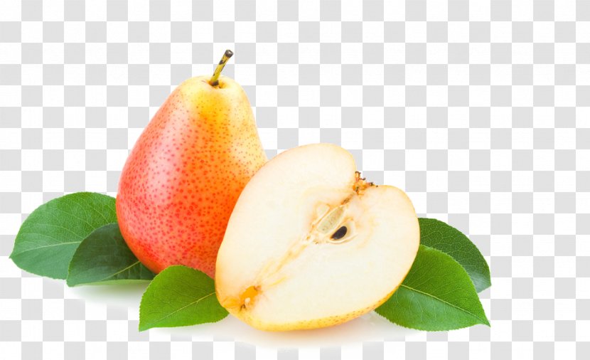 Pyrus Nivalis Berry Asian Pear Auglis - Fruit Transparent PNG