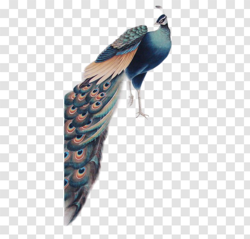 U5de5u7b14u82b1u9e1fu753b Gongbi Bird-and-flower Painting - Feather - Small Peacock Material Cutout Transparent PNG