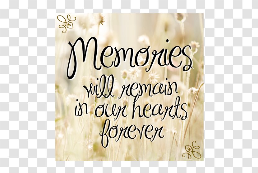 Condolences Condolence Book Sympathy Funeral Death - Idea - Good Memories Transparent PNG