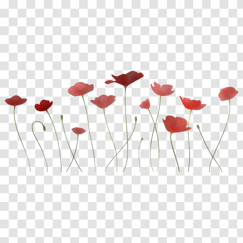 Poppy Flower Transparent PNG