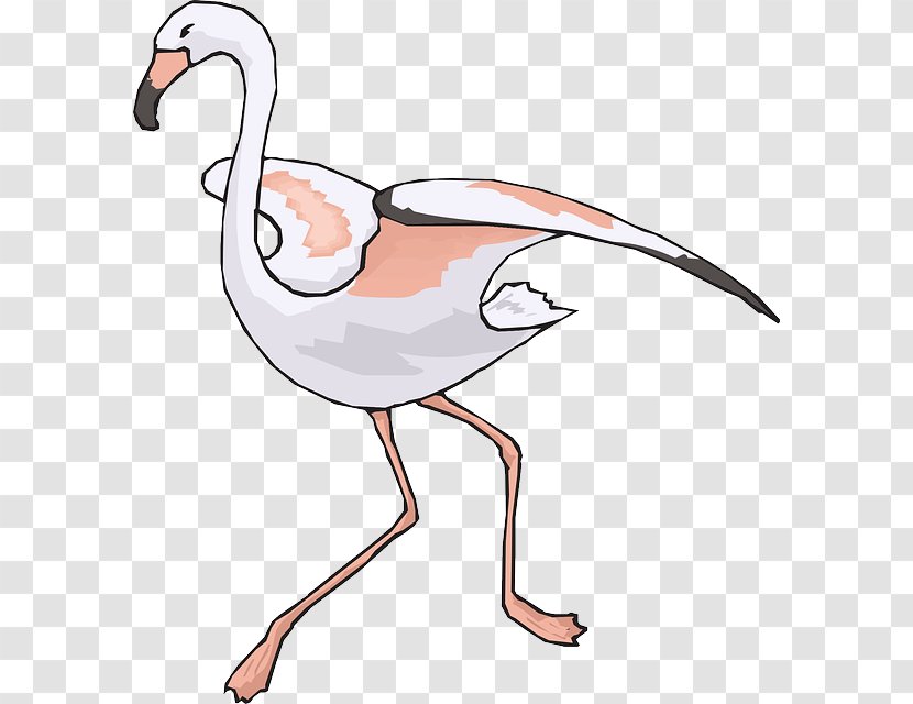 Flamingo Beak Clip Art - Artwork Transparent PNG