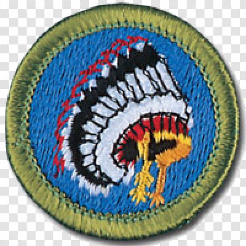 Merit Badge Boy Scouts Of America Scouting Utah National Parks Council Michigan Crossroads - Scout Association Transparent PNG