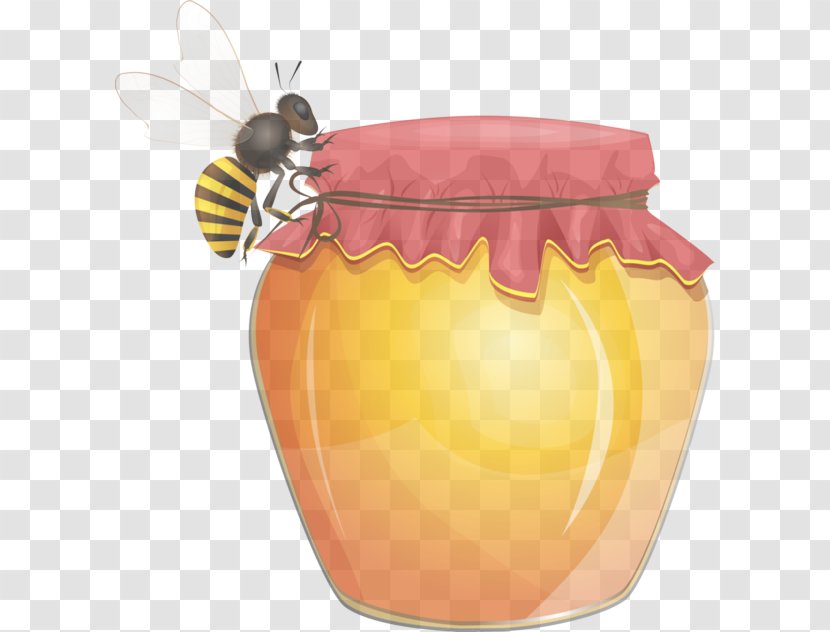 Orange - Honeybee - Honey Pollinator Transparent PNG