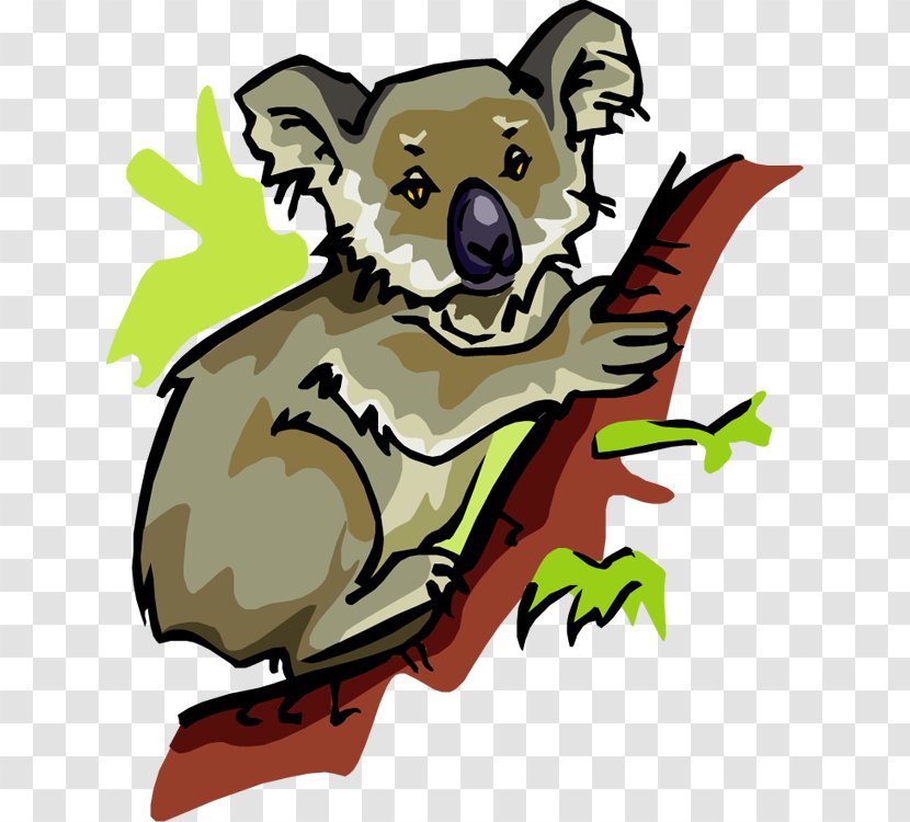 Koala Royalty-free Clip Art - Carnivoran Transparent PNG