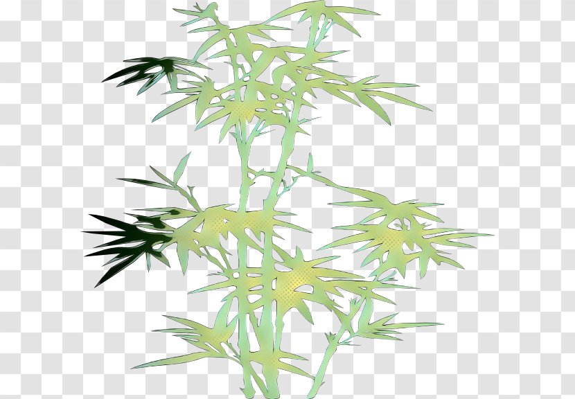 Plant Flower Leaf Bamboo Grass - Tree - Houseplant Tarragon Transparent PNG
