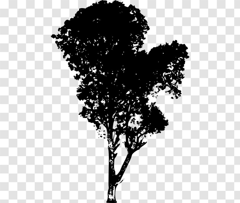 Twig Silhouette - Black And White Transparent PNG