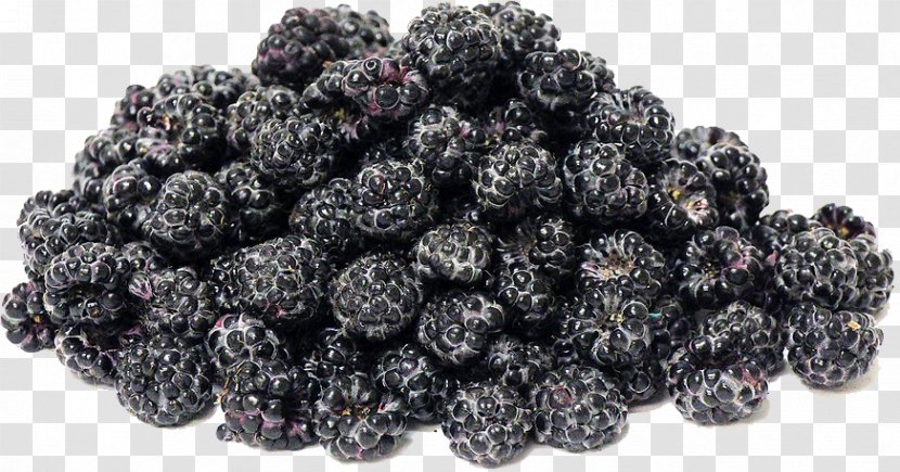 Frutti Di Bosco Boysenberry Black Mulberry Raspberry - Dried Fruit - Raspberries Transparent Image Transparent PNG