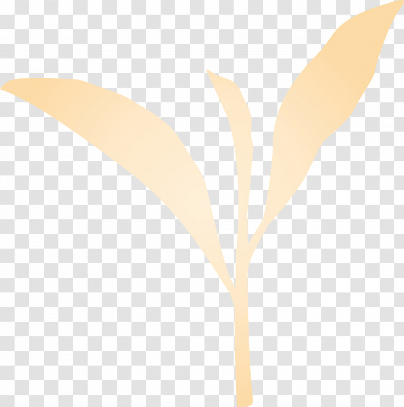 Leaf Plant Flower Tree Twig Transparent PNG