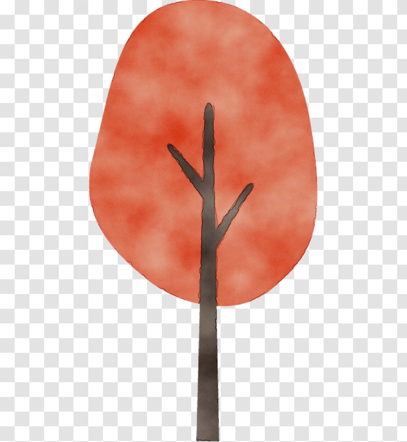 Orange - Plant - Flower Stem Transparent PNG