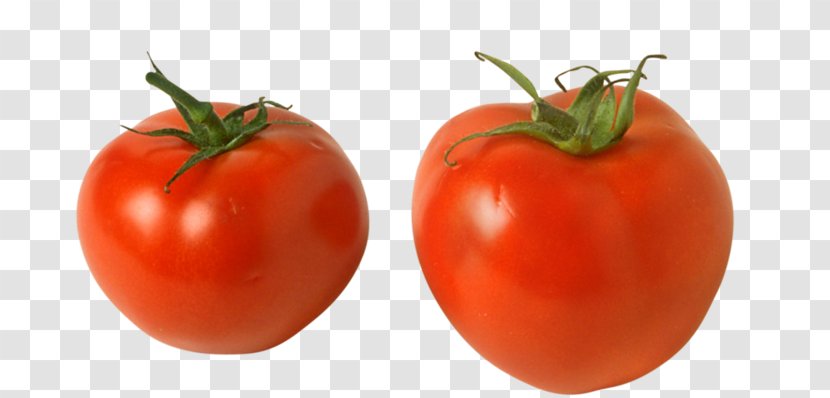 Plum Tomato Bush Varenye Fruit - Vegetable Transparent PNG