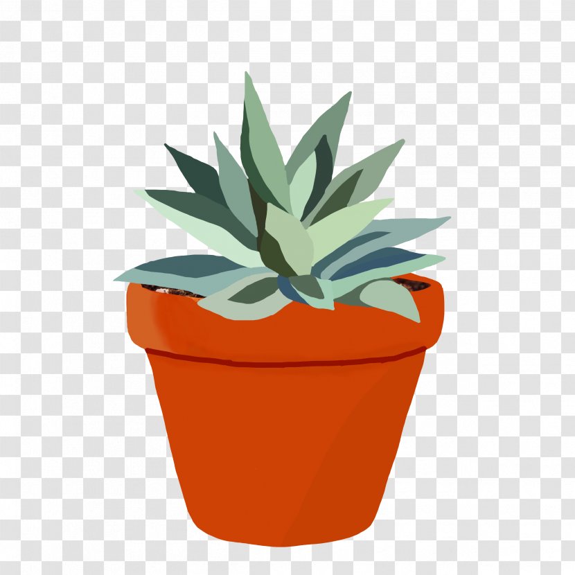 Drawing Illustration Stock Photography Vector Graphics Image - Agave - Succulent Transparent Kibblywibbly Transparent PNG