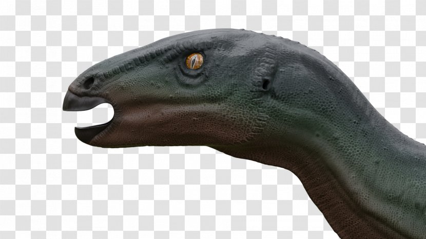 Camptosaurus Dinosaur Geological Period Product Jurassic Transparent PNG