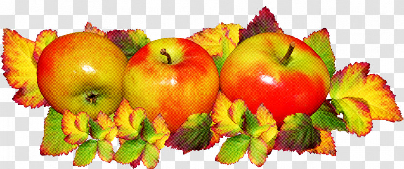 Natural Food Vegetable Local Food Fruit Transparent PNG