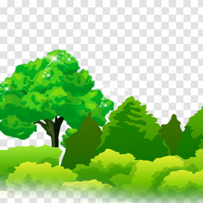 Tree Download Forest Leaf - Grass Transparent PNG