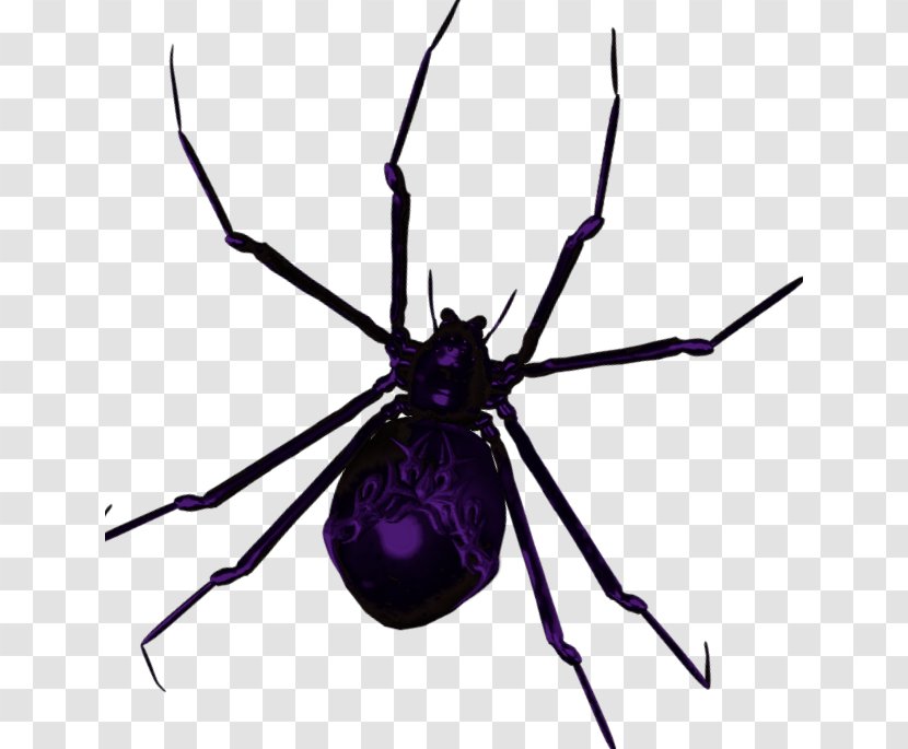 Widow Spiders STX G.1800E.J.M.V.U.NR YN Angie Clip Art - Halloween - Pest Transparent PNG