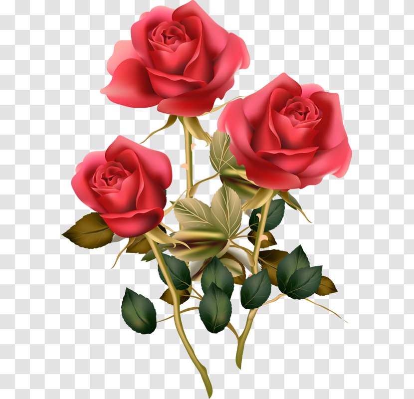 Flower Rose Morning Clip Art - Stem Transparent PNG