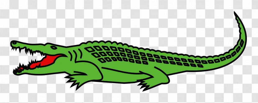 Nile Crocodile Alligator Mississippi Sandhill Crane National Wildlife Refuge - Fauna Transparent PNG