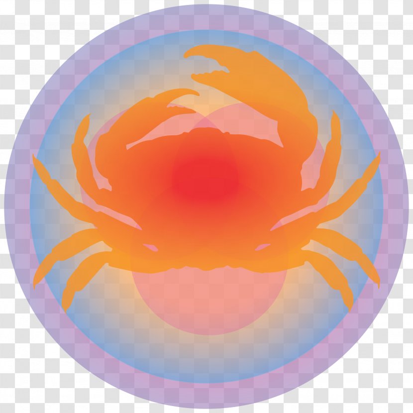 Circle Sphere Desktop Wallpaper Computer - Scorpio Astrology Transparent PNG